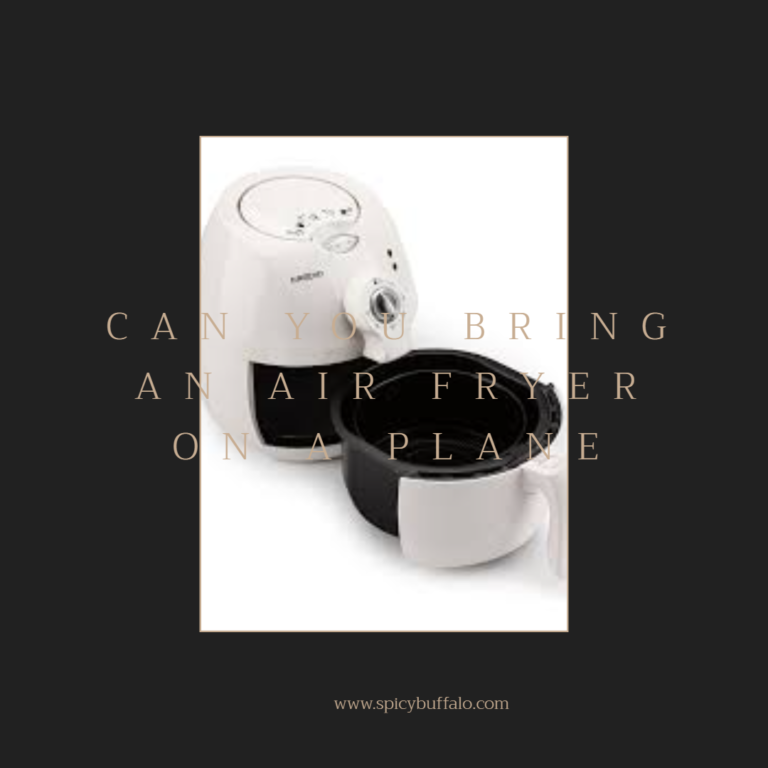 How Can You Bring An Air Fryer On A Plane Can Ease Your Pain. Spicy