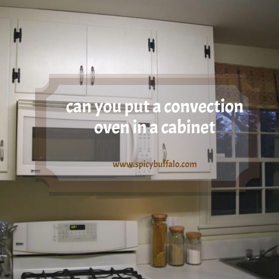 5 Reasons Why Can You Put A Convection Oven In A Is Common In
