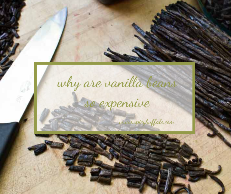 You Will Never Believe These Bizarre Truth Behind Why Are Vanilla Beans