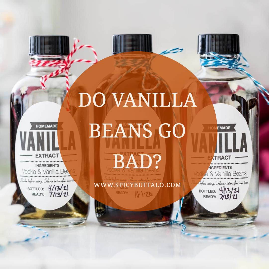 Do Vanilla Beans Go Bad? Spicy Buffalo