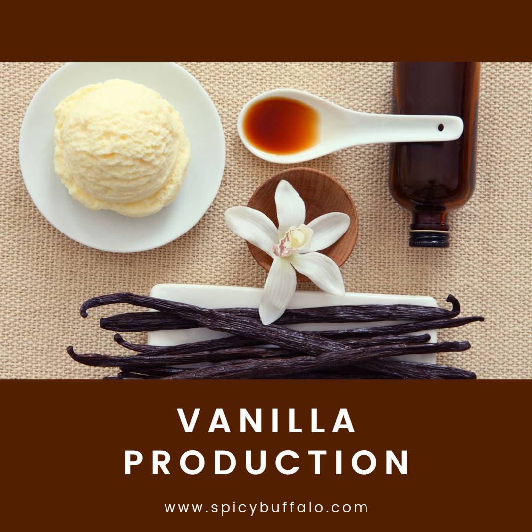 Стручок ванили. Стручковая ваниль как использовать. Как пользоваться ванилью. Ванилин палочки. Как пользоваться ванилью.