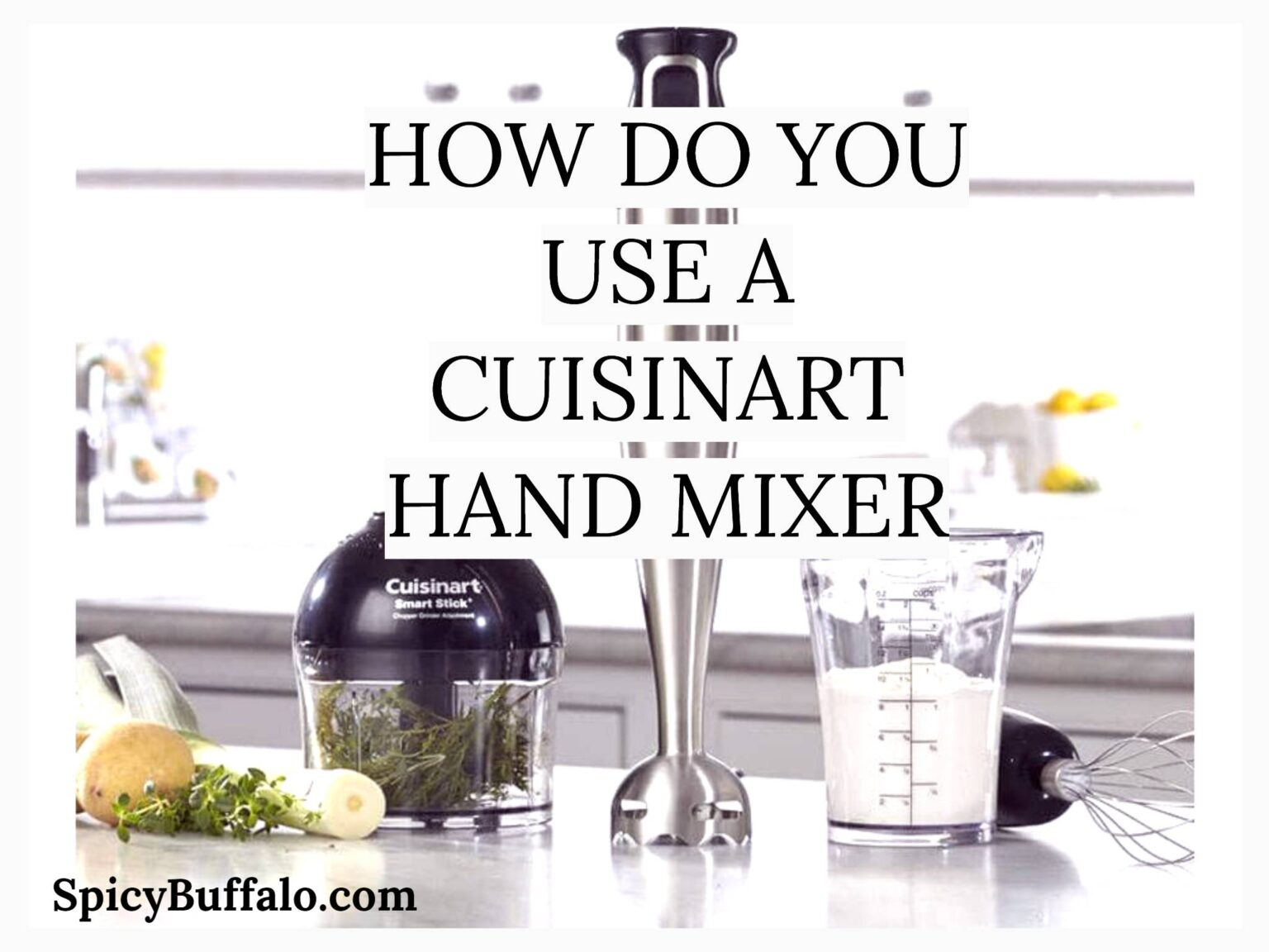 How Do You Use A Cuisinart Hand Mixer Spicy Buffalo