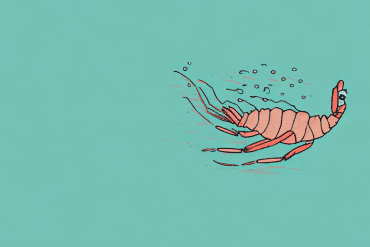 A shrimp swimming in the ocean