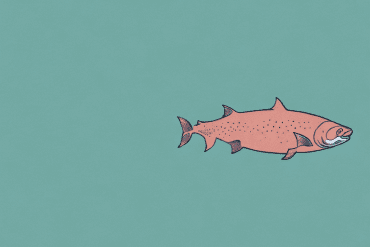 A salmon swimming in a body of water