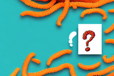 A bag of cheetos with a question mark hovering above it
