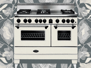 An aga and a wolf gas range side by side